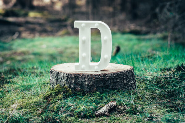 LED písmeno D