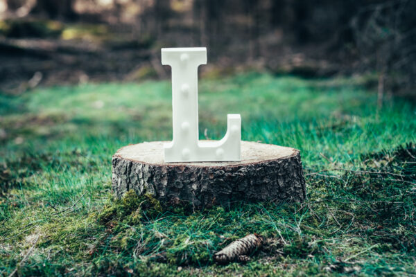 LED písmeno L