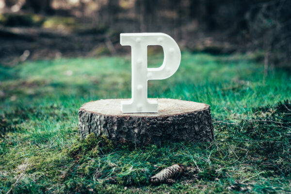 LED písmeno P