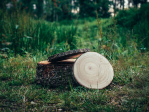 Dřevěná kulatina + – 20 cm
