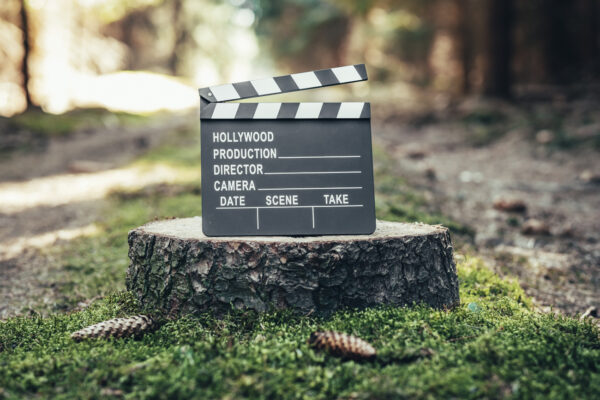 Filmová klapka