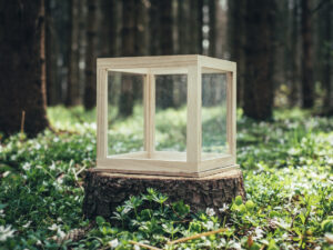 Dřevěná bedýnka se sklem